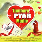 Tumhara Pyar Mujhe - Anwar Jani Qawwal Song Download